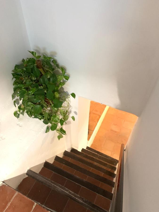 Tinao De Las Alcantaras Lanjaron Ngoại thất bức ảnh
